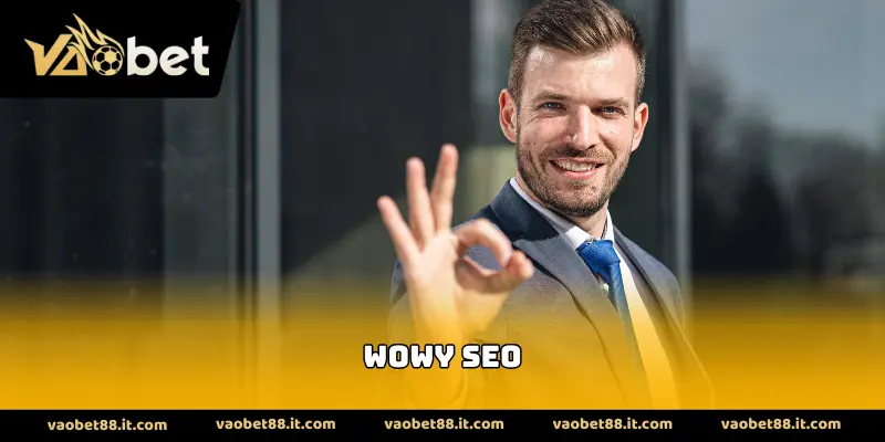 Wowy SEO